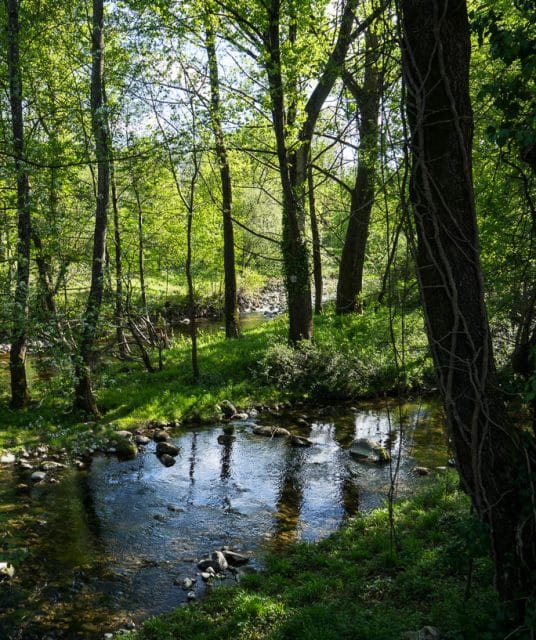 nature-barres-coiron