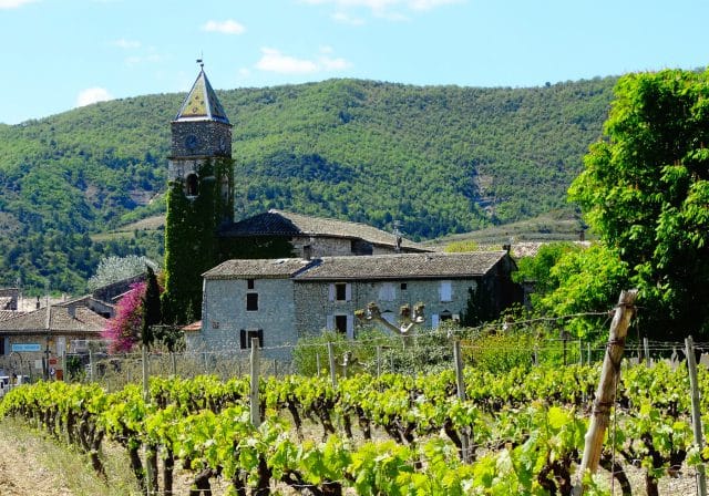 valvignere-eglise-vignes_1800x1260_acf_cropped