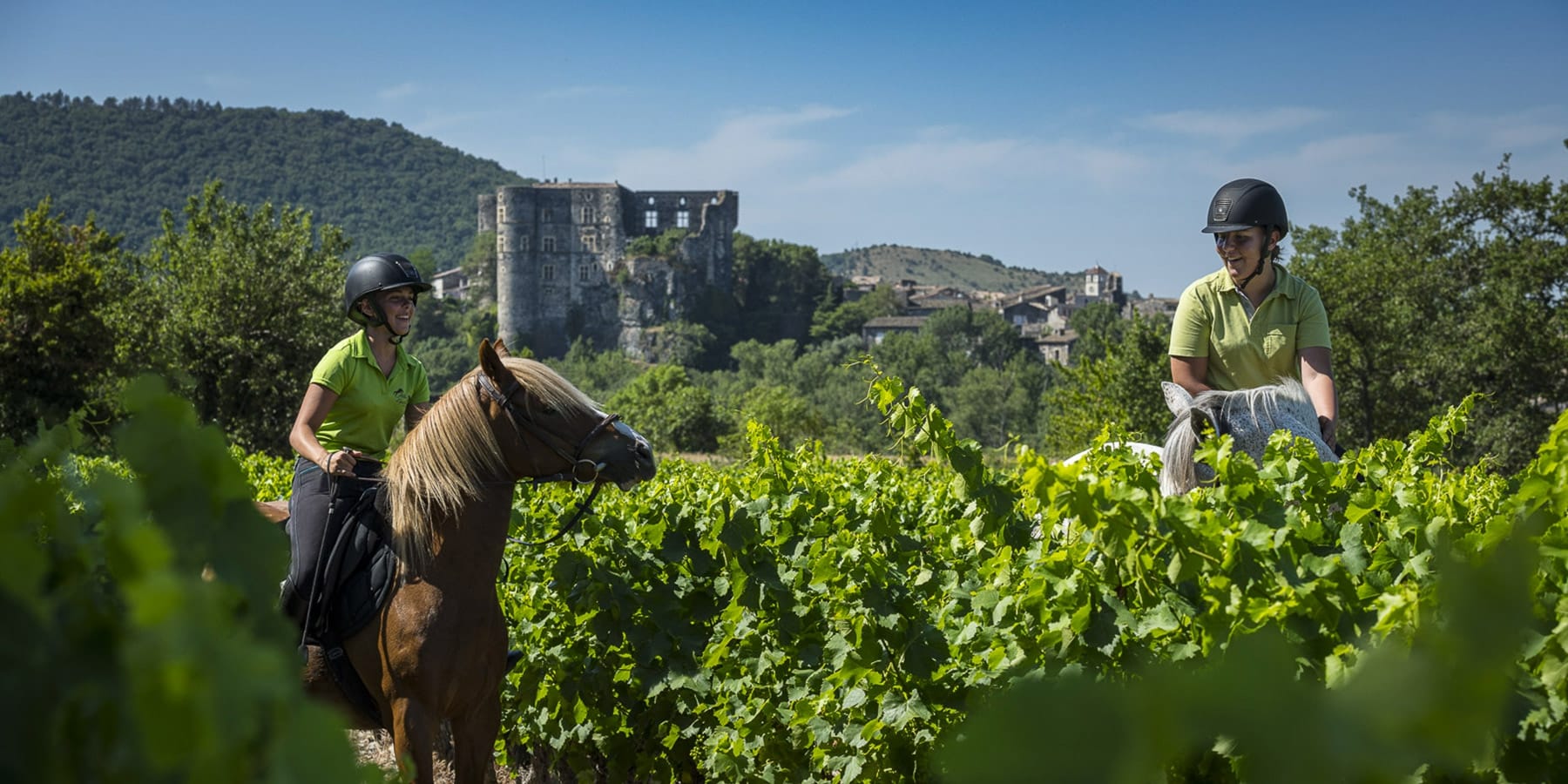 Alba-chateau-cheval-equitation-vignes_1800x900_acf_cropped