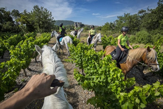 Alba-site-antique-chateau-cheval-equitation-vignes