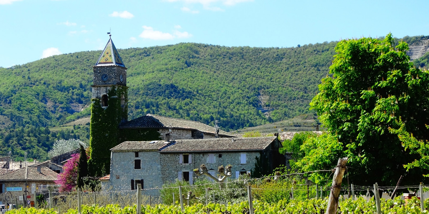 valvignere-eglise-vignes_1800x900_acf_cropped