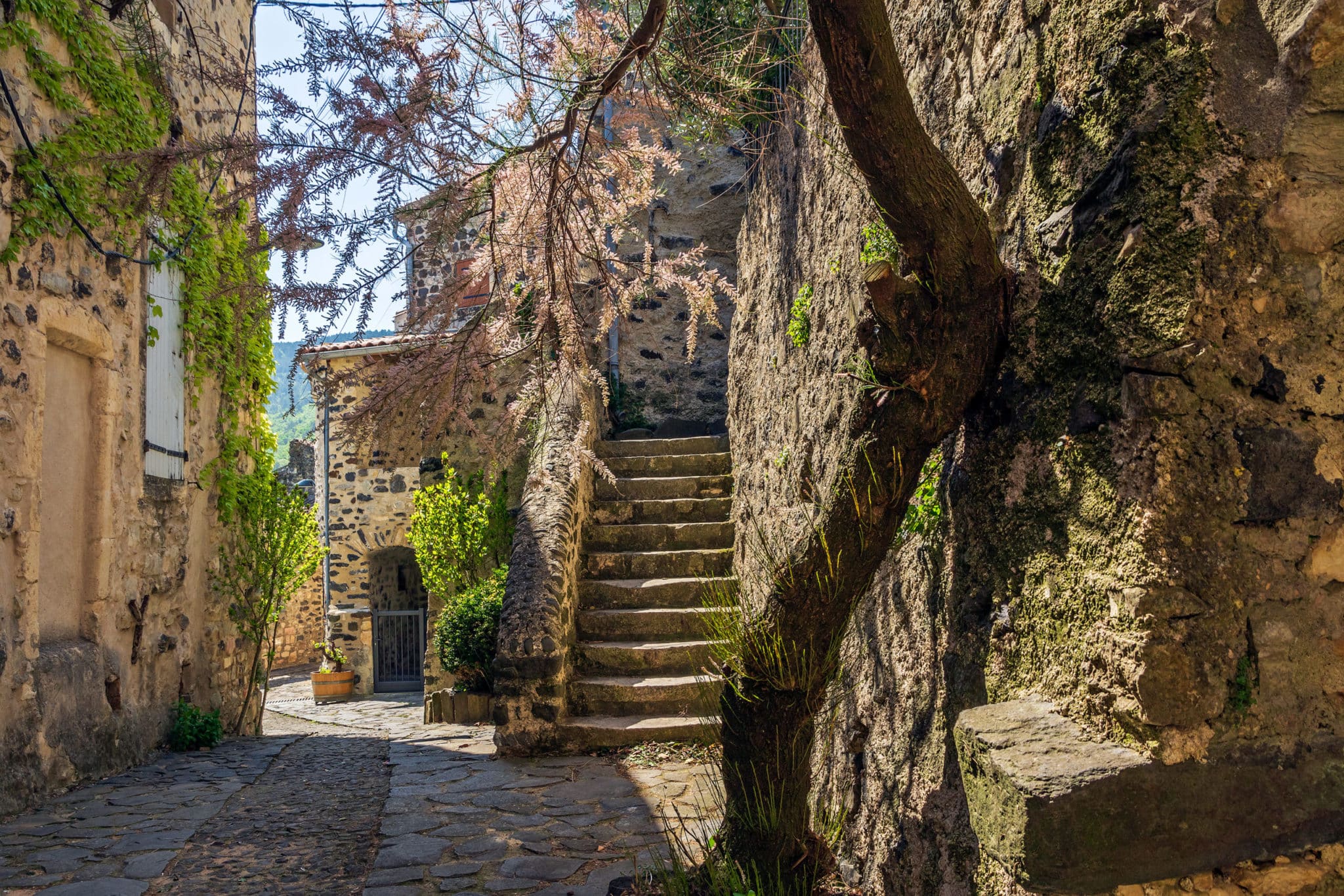 Saint Vincent de Barrès Office de