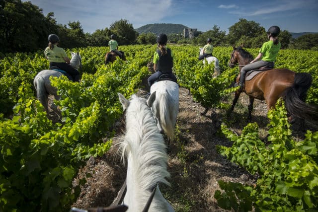 2000 Vins d'Ardèche - Site antique d'Alba-la-Romaine, le 8 juillet 2019.