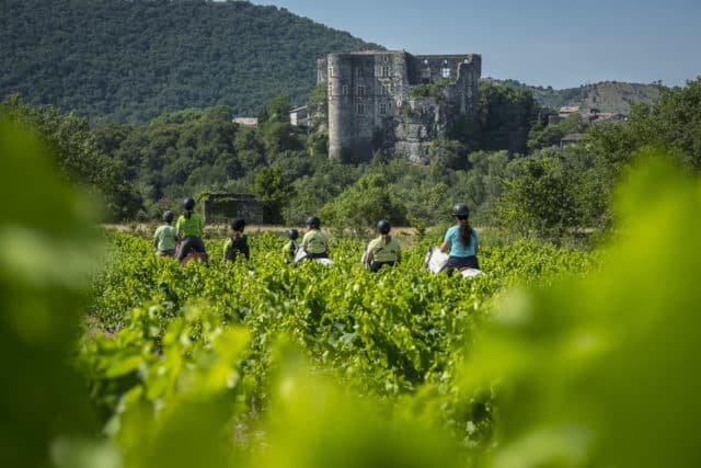 2000 Vins d'Ardèche - Site antique d'Alba-la-Romaine, le 8 juillet 2019.