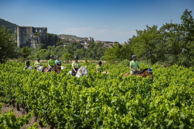 2000 Vins d'Ardèche - Site antique d'Alba-la-Romaine, le 8 juillet 2019.