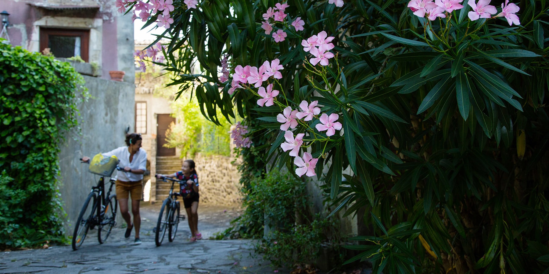 Rue-Alba-la-Romaine-velo_1800x900_acf_cropped