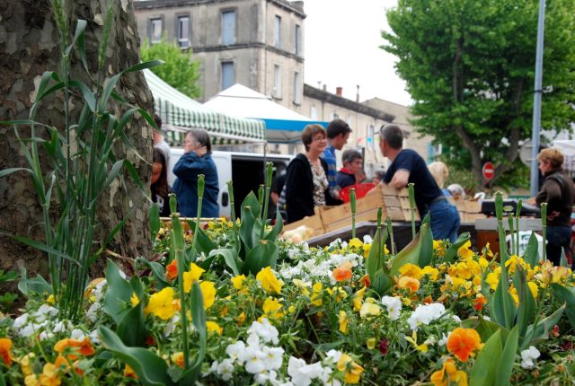 Marché-le-Teil_Nicolas-2-2