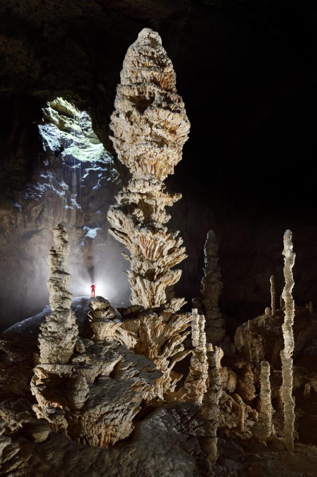 pomme_de_pin_aven_orgnac_2022_credits_Philippe_Crochet