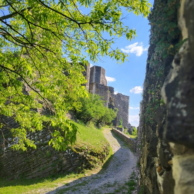 ChateauRochemaure-avril 25©A.Docquier (4)