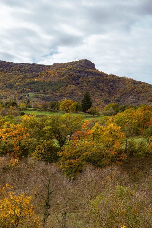 VD_LaPAyre©A.Docquier-18