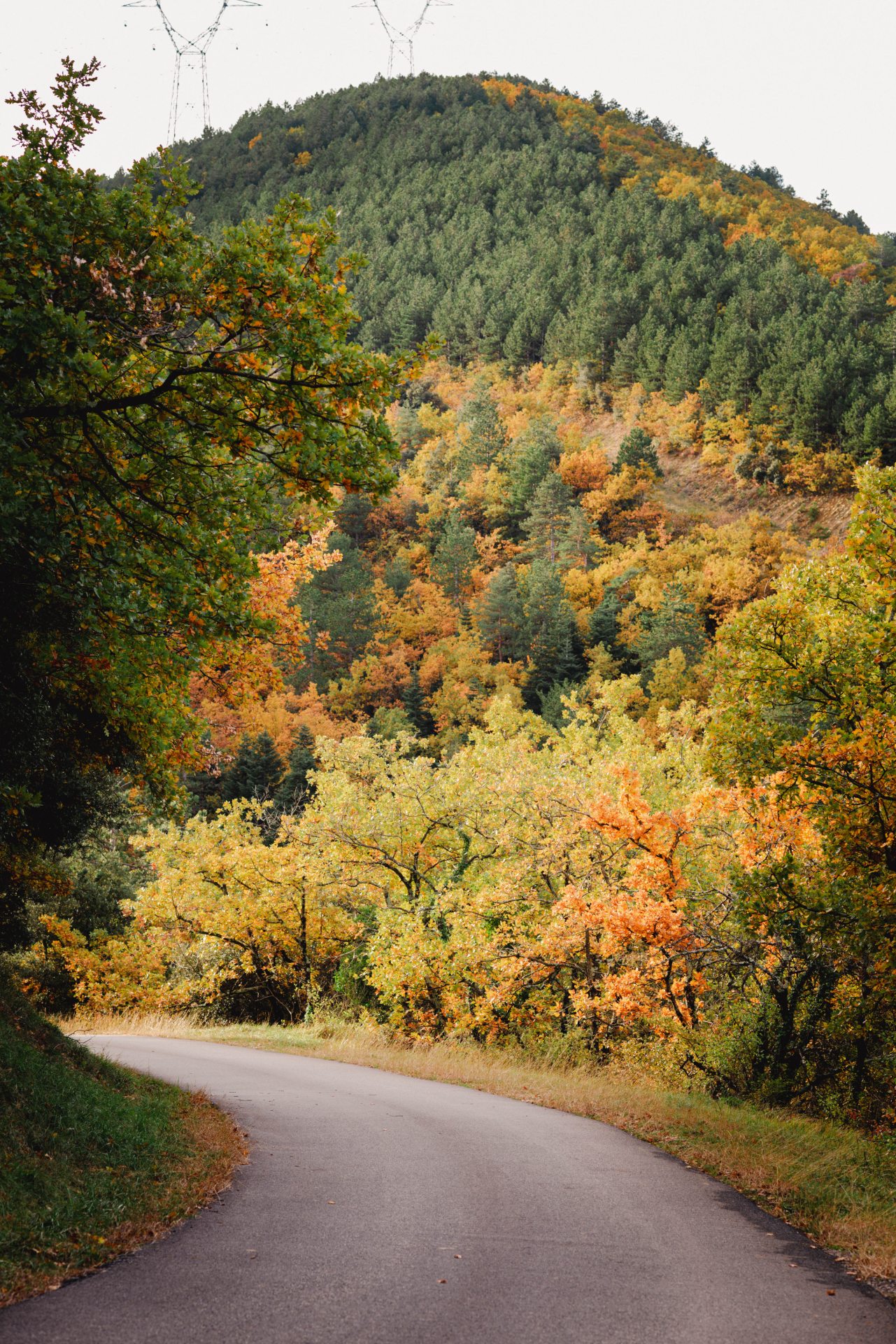 SVB_RouteForest._Nov2023©Adeline Docquier-36