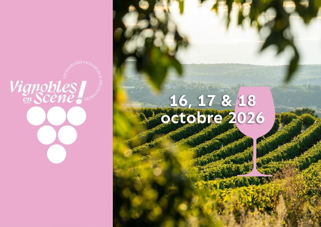 vignobles-scenes-2026-1030x728-1
